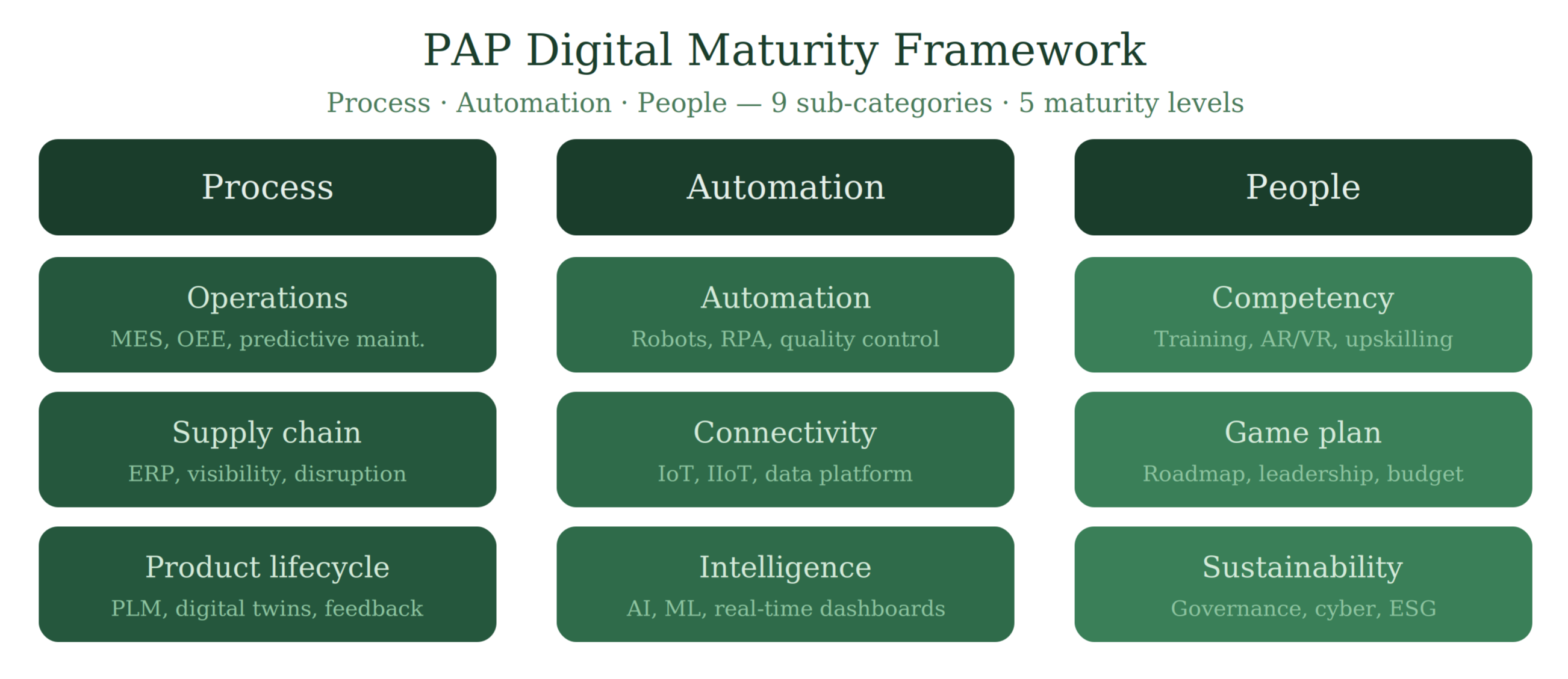 PAP Digital Maturity Assessment